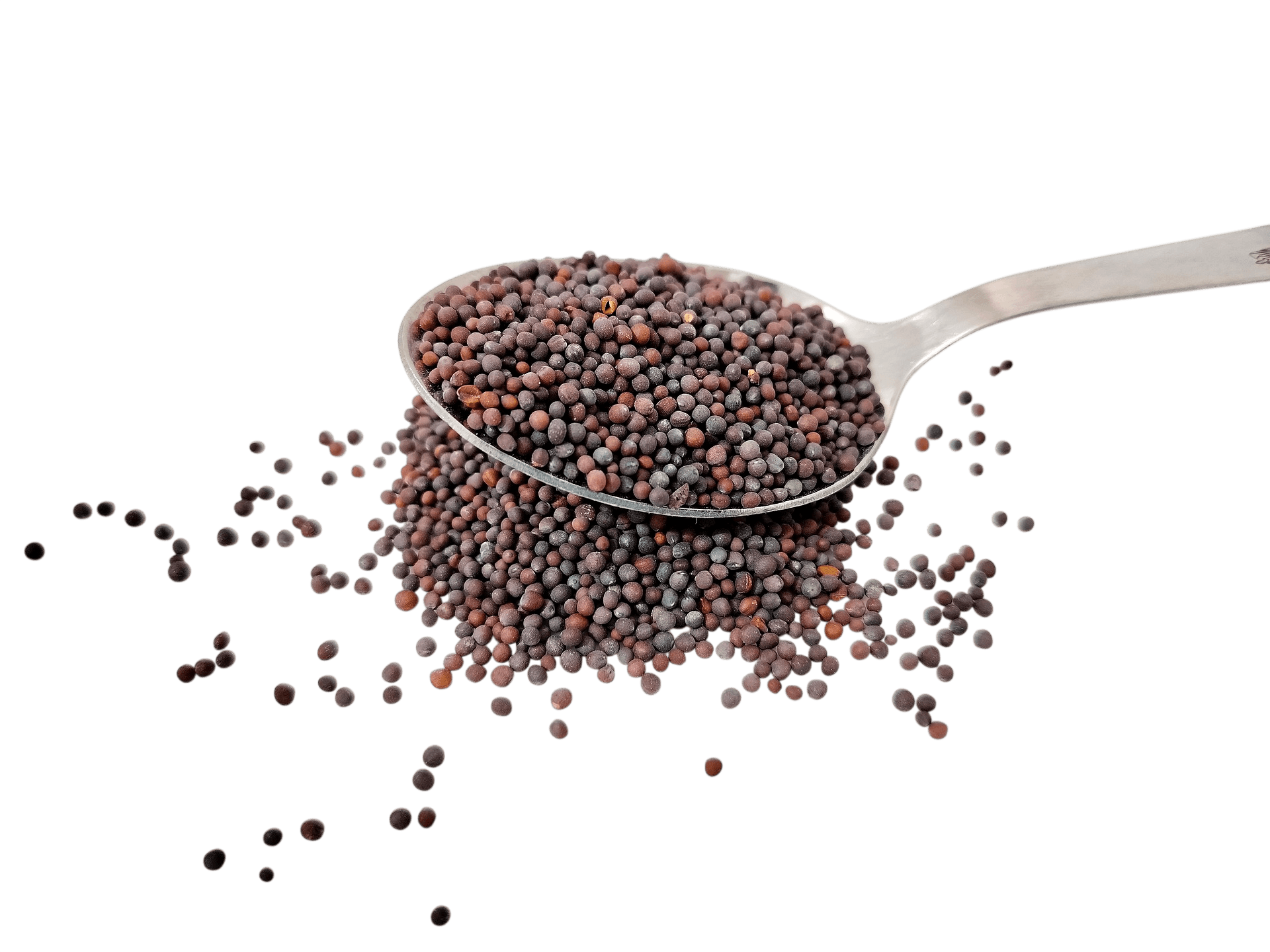 Black Mustard Seeds thumbnail 2