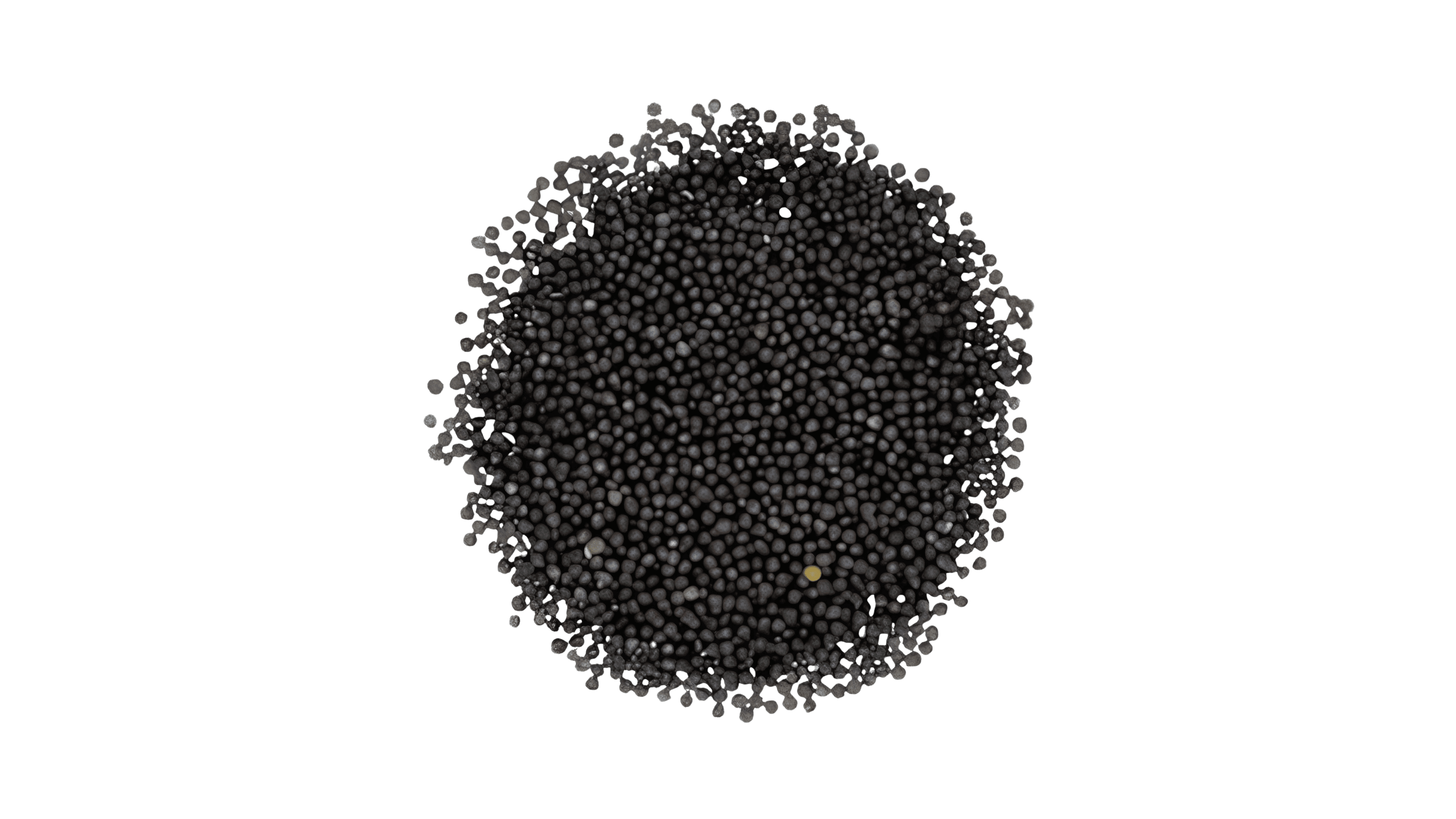 Black Mustard Seeds