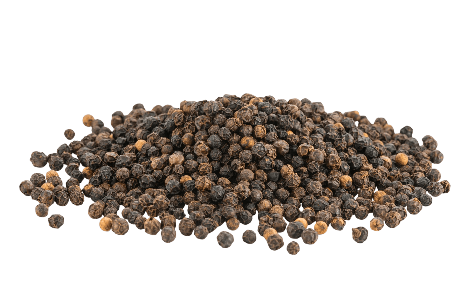 Black Pepper thumbnail 2