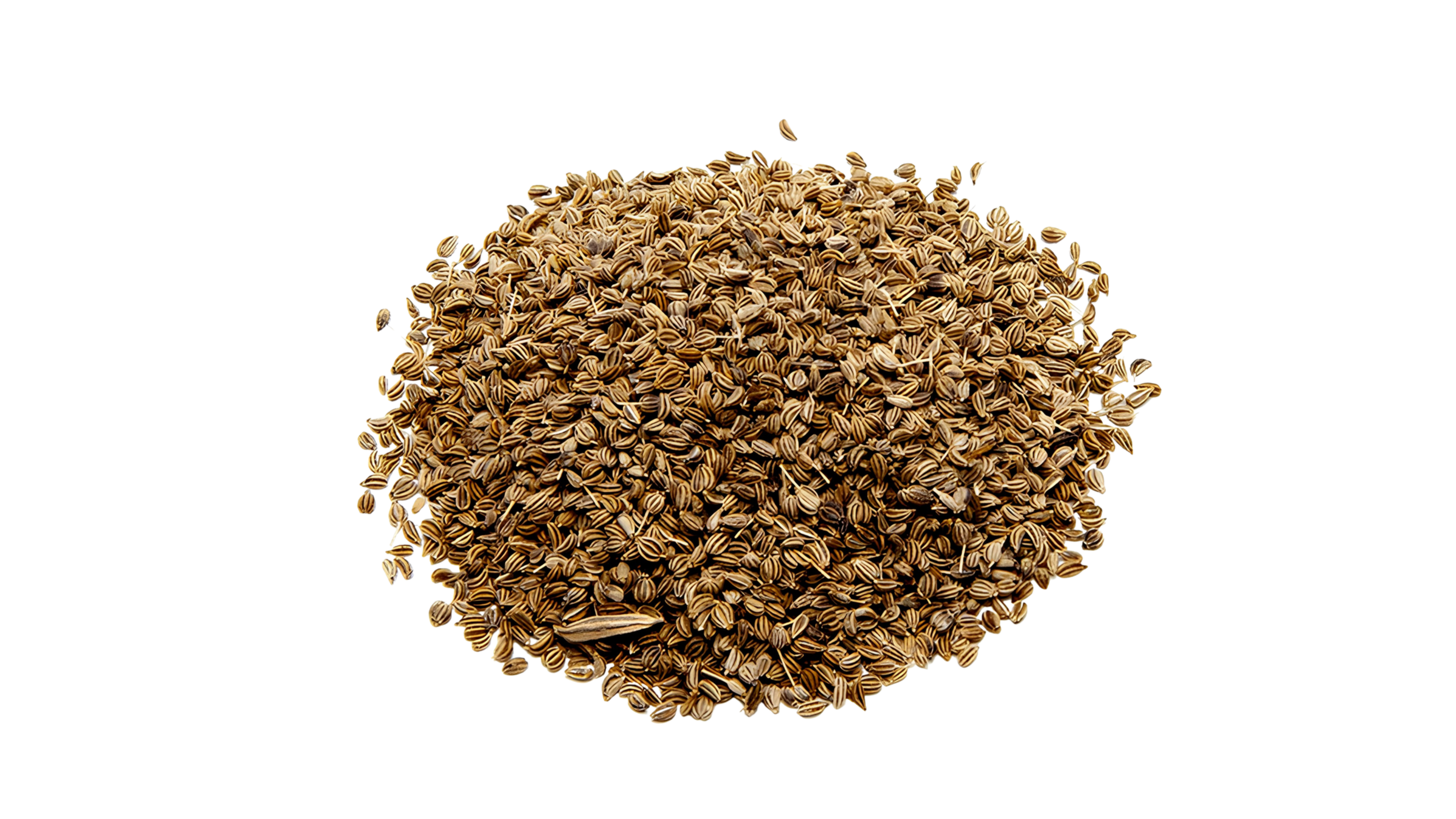 Carom Seeds