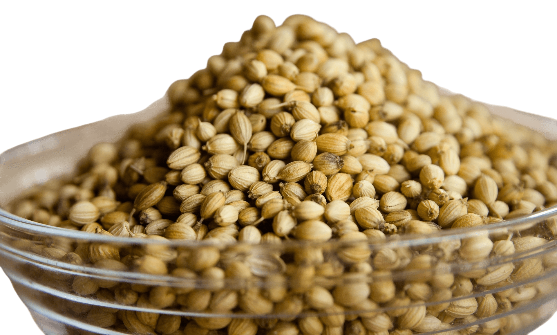 Coriander Seeds thumbnail 2