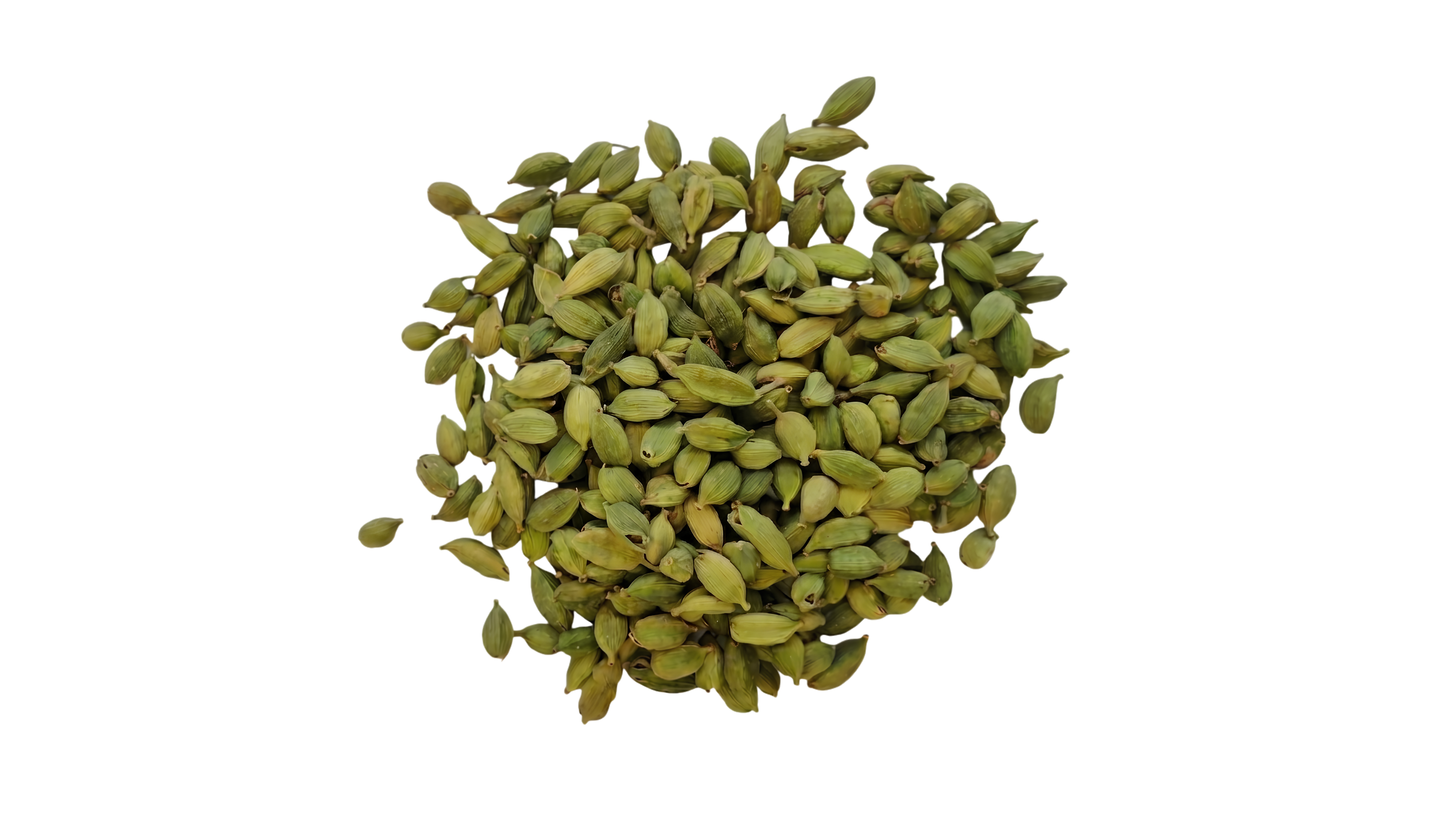 Green Cardamom