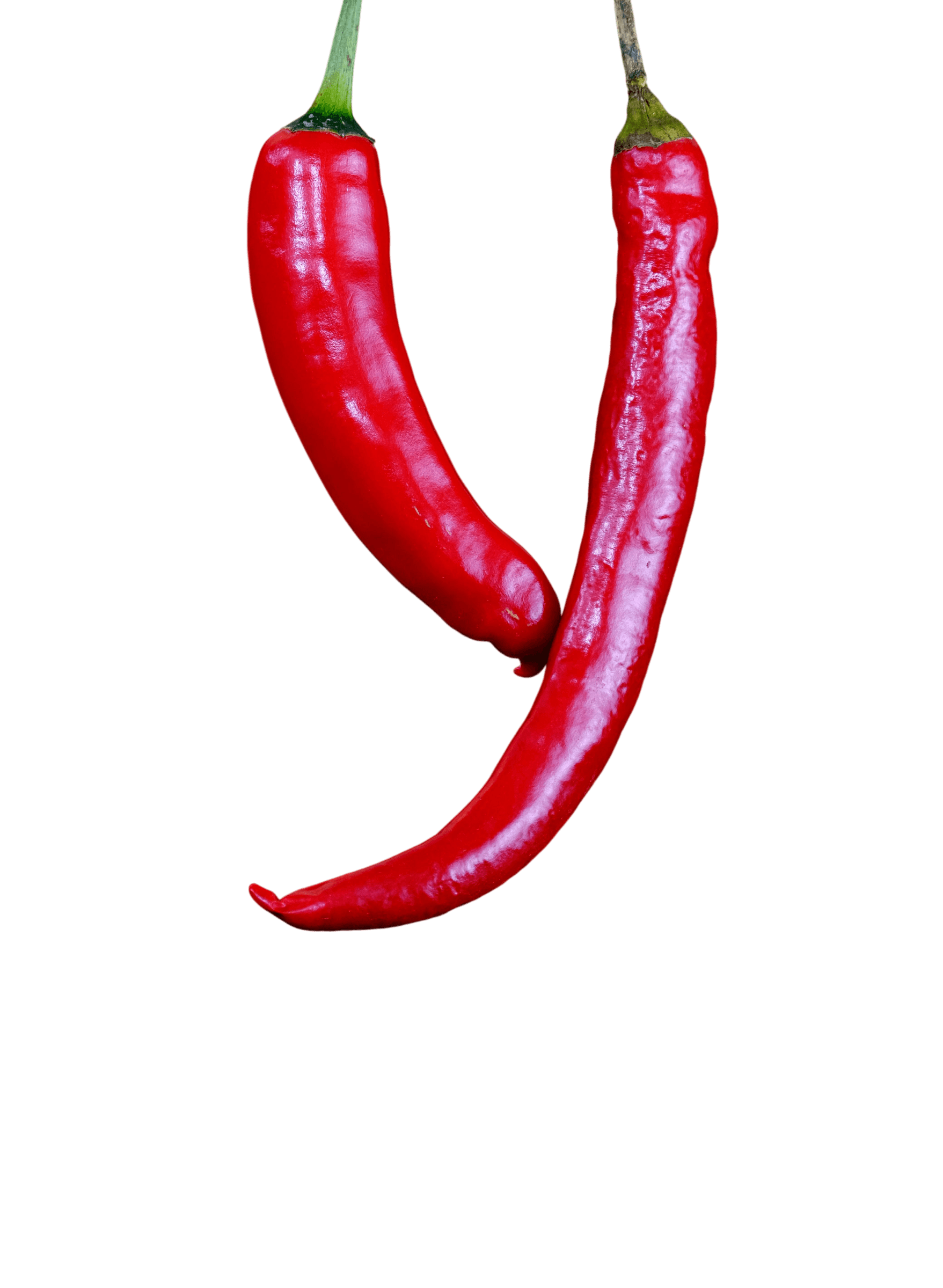 Red Chilli