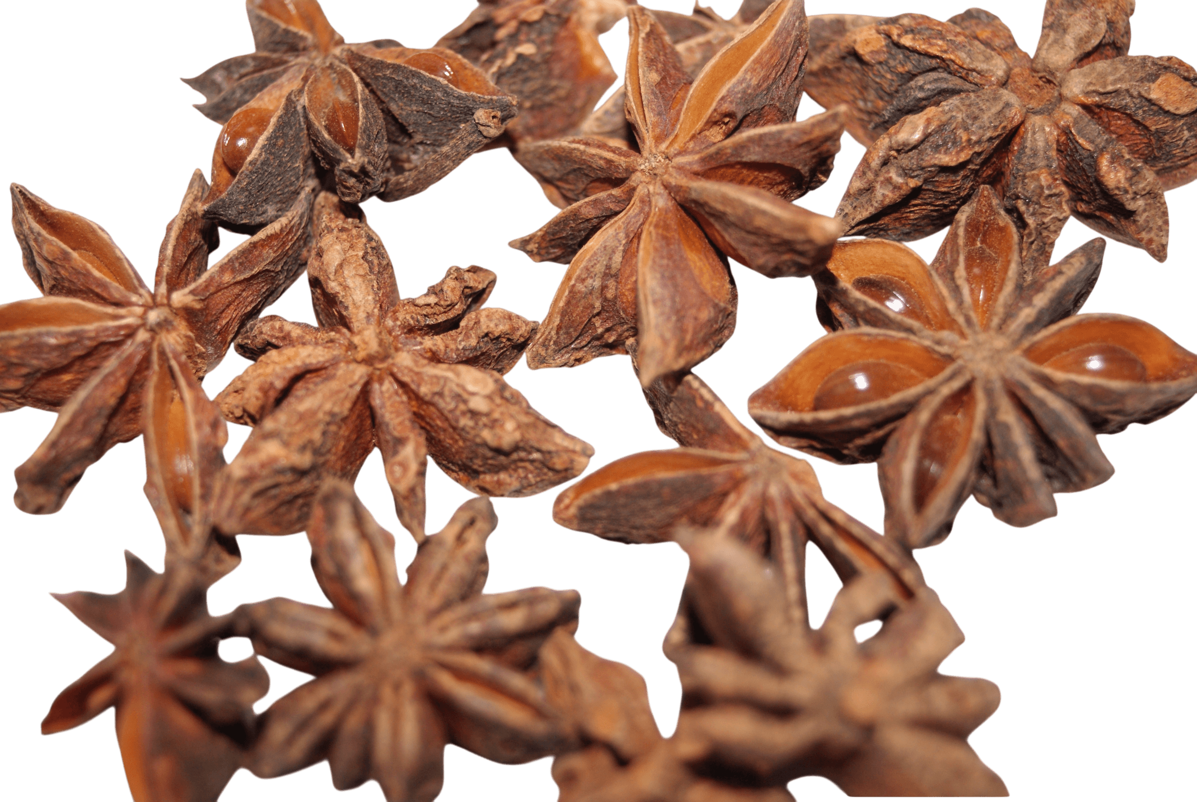 Star Anise thumbnail 2