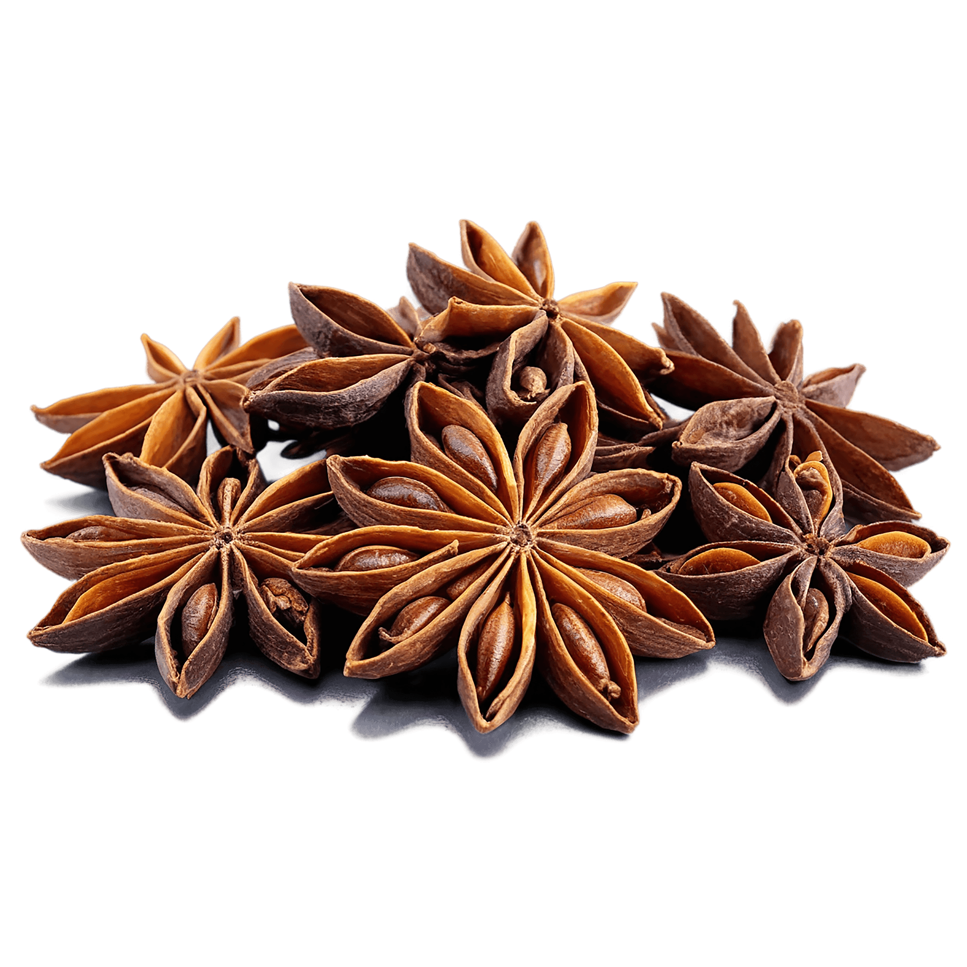 Star Anise